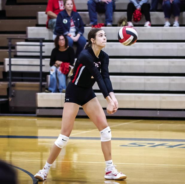 Volleyball District Honors