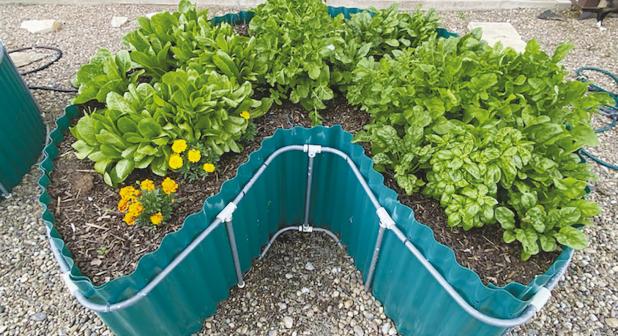 Organic gardeners reap healt