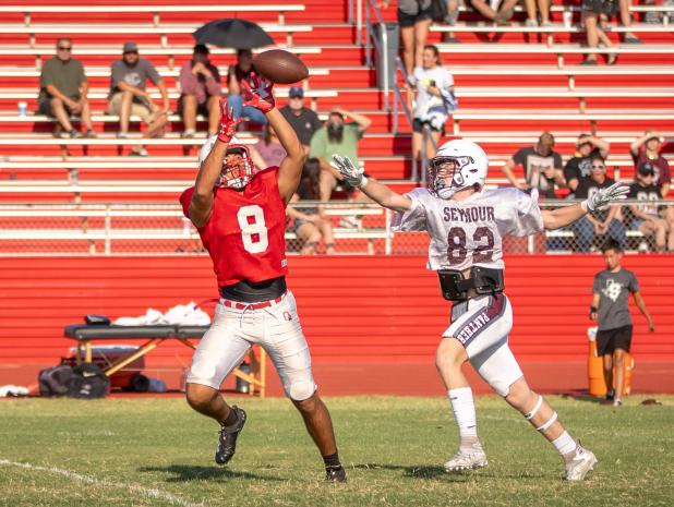 Red vs. White, Panther scrimmages ready Cubs for the season