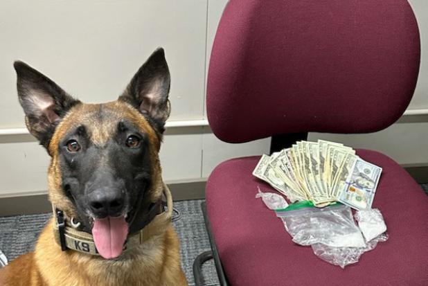 Olney PD drug squad pulls off holiday busts