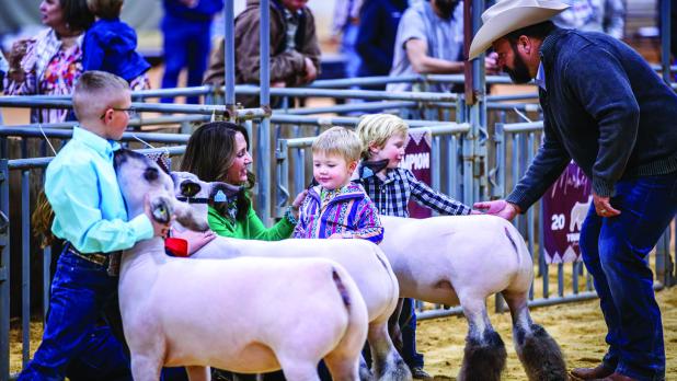 This year’s Junior Livestock show was proud to see a Peewee showmanship division. These little showmen captured the hearts of the spectators as they proudly marched around the judging area. Photo by Will Sadler