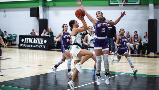 Ladycat #15 Rae’Lyn Bennett is a confident shooter and will continue to be an asset as her confidence grows this season. Bennett played well on defense and had a few big drives that didn’t pan out on the scoreboard for the night. Photo by Will Sadler
