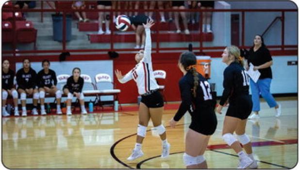 Lady Cubs Volleyball division opener