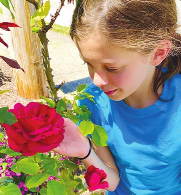 Stop and Smell the Roses