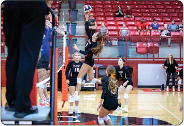 Lady Cubs Volleyball division opener