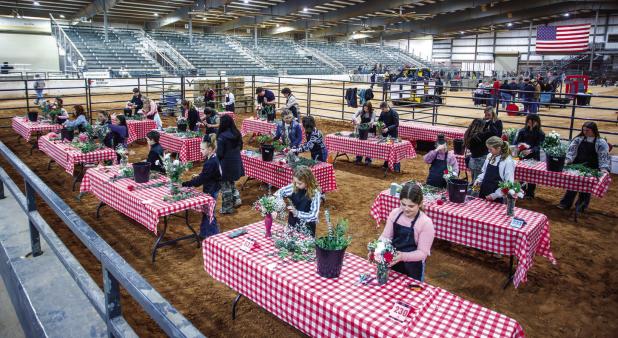 The Floral design competition continues to grow each year. This year saw a record number of competitors Photo by Will Sadler
