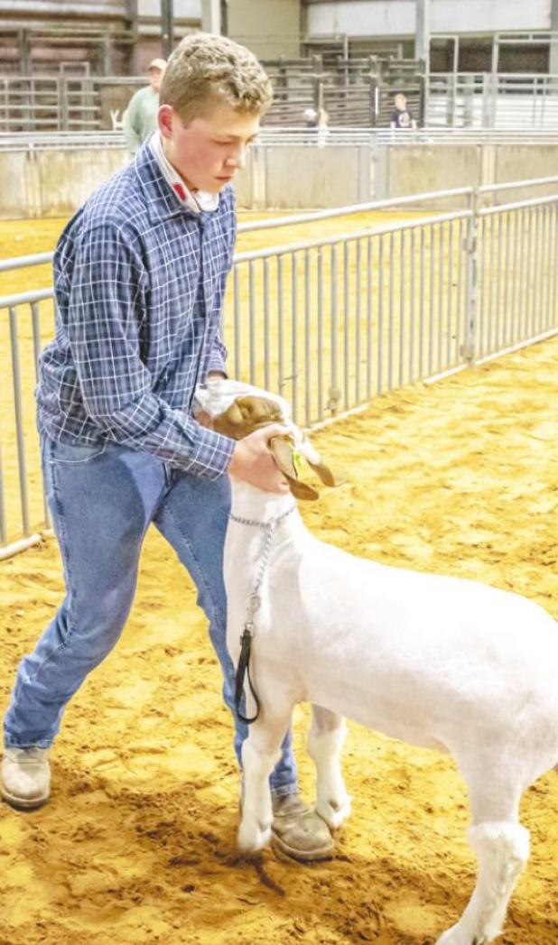 Justin Simmons of the Olney FFA placed 3rd in the Heavy Weight, Class 6, Goat Division