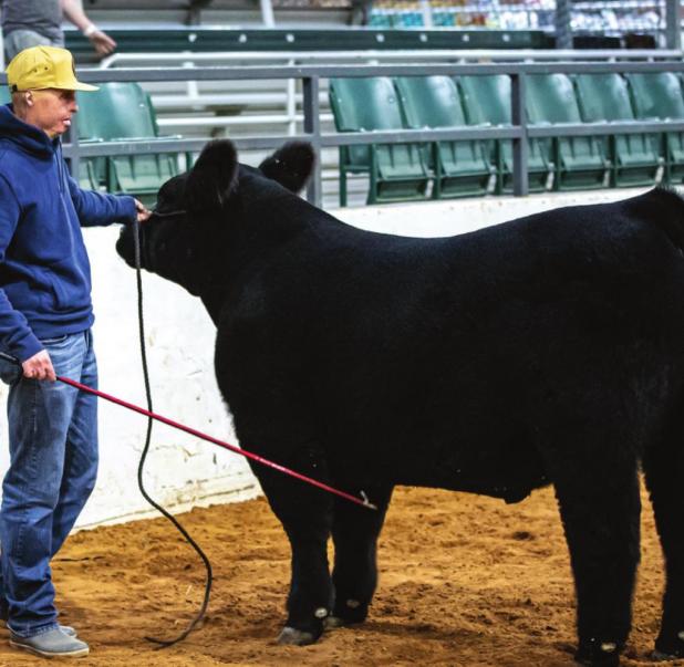 Youth Shine at the 2022 Junior Live Stock Show