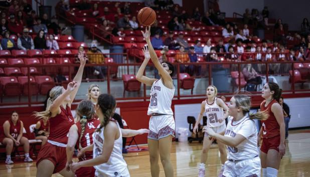 Lady Cubs Basketball District Honors