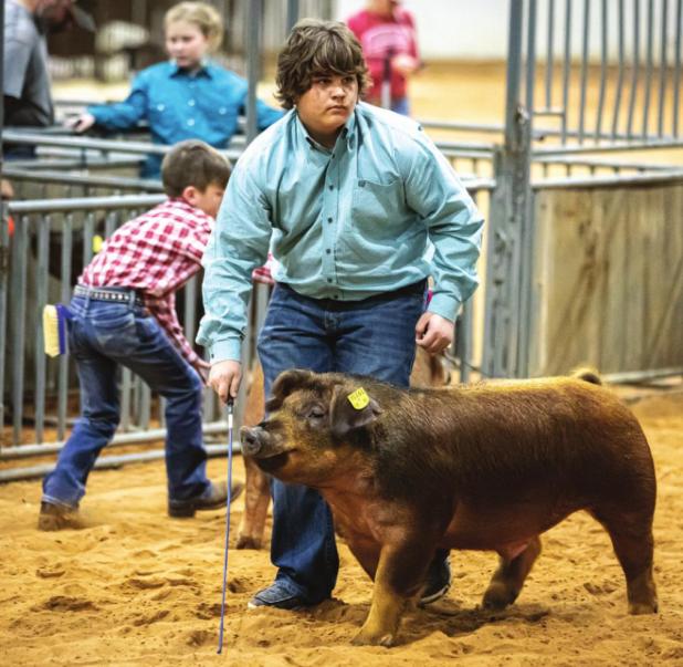Youth Shine at the 2022 Junior Live Stock Show
