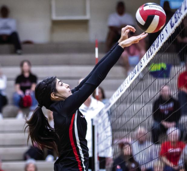 Lady Cubs Volleyball