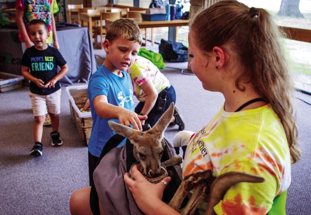 The most popular attraction during the OCLAC’s Creature Teacher event was meeting and petting a baby kangaroo Photo by Will Sadler