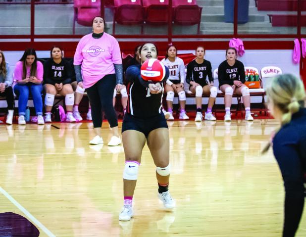 Lady Cubs vs Quanah Lady Indians