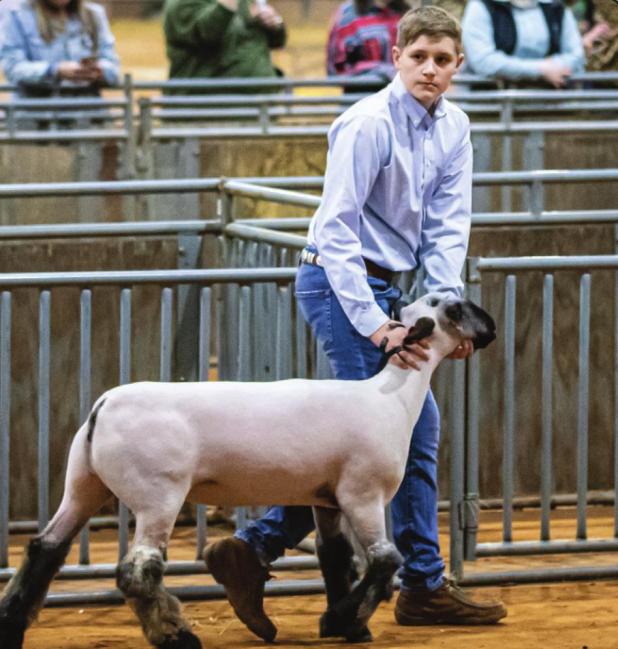 Youth Shine at the 2022 Junior Live Stock Show