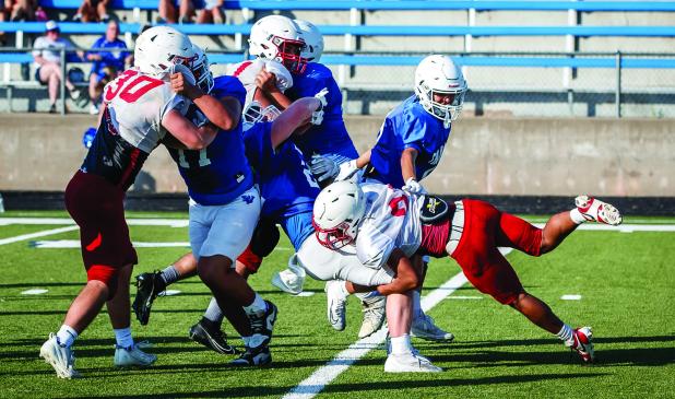 The Cub defense is the strong point of the team going into the preseason, with a very strong secondary unit with good eyes for detecting plays. The defense is fast with good coverage in the corners. The Cub defense should be able to keep the Cubs in the f