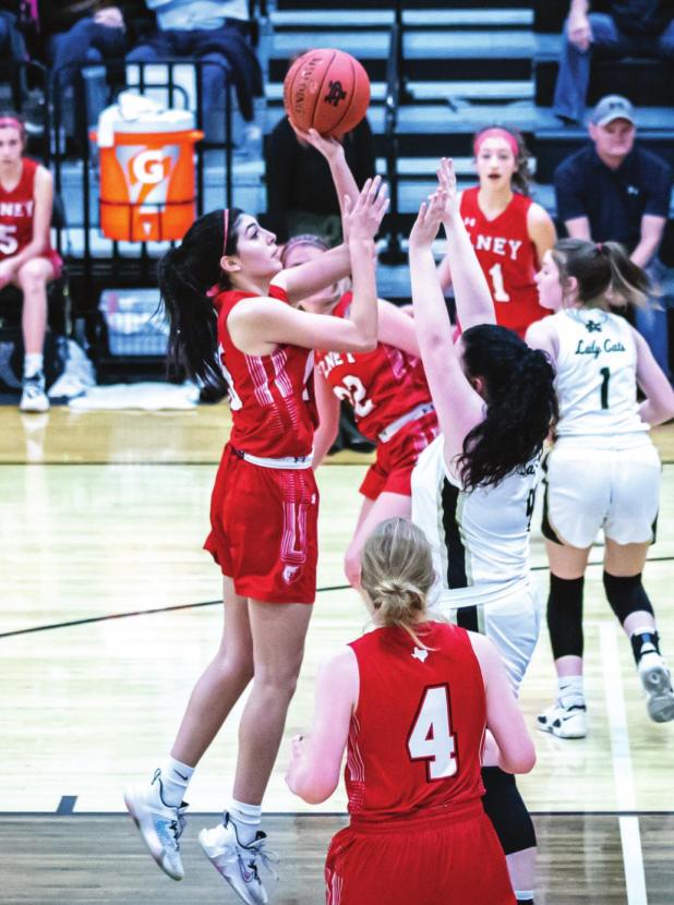 Lady Cubs Play End of Season Game Against the Ladycats