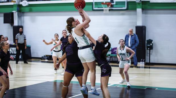 Ladycat #1 Camren Mallory draws one of many fouls from a Lady Greyhound defender. Photo by Will Sadler