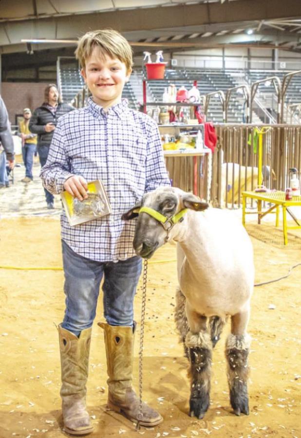 Miles Branum (Olney FFA) His first year out and captured Jr. Showmanship Lamb Division as well as 3rd in class 1 of the Lamb division.