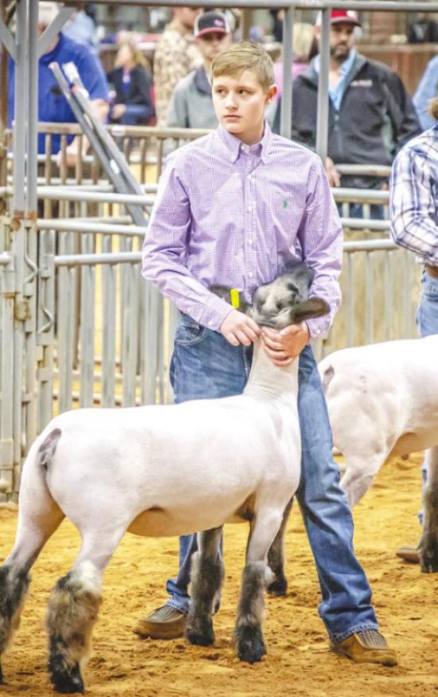 Brady Lisle (Olney FFA) placed 2nd in Class 1 of the Lamb Division and 3rd in the Class 3 Division
