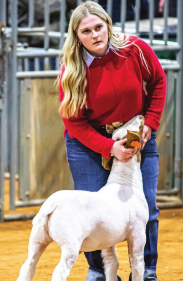 Youth Shine at the 2022 Junior Live Stock Show