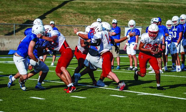 The Cubs have a good roster for running backs who will battle it out for a coveted starter position. Photo by Will Sadler