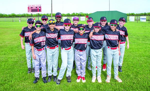 All-Cub Little League game in Olney
