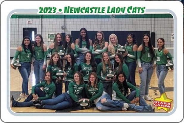 Lady Cats