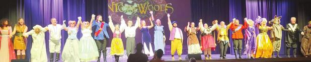 Into the Woods Review