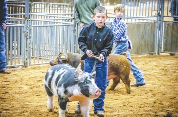 Samuel Ikert (Olney FFA) placed 3rd in Berk Class 1, 3rd in Dark Cross Class 17 and 6th in Dark Cross Class 18