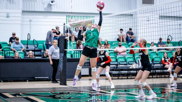 Ladycat #1 Camren Mallory is the rock of the team and a fierce defender. Photo by Will Sadler