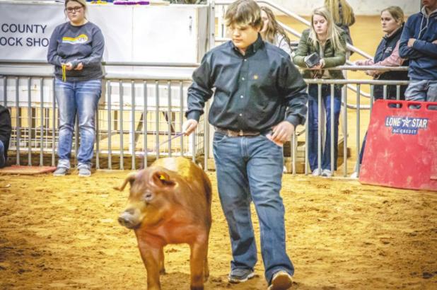 Peyton Bullock (Olney FFA) placed 2nd in Duroc Class 4