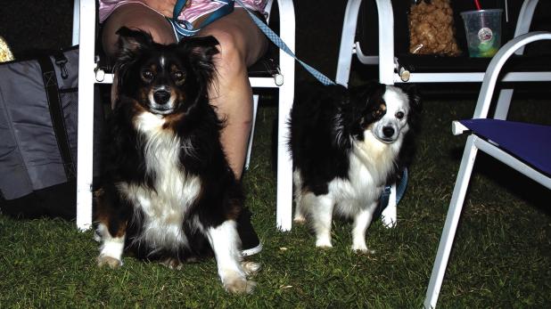 Folks brought their chairs and their pets to enjoy the Music in May concert in Tom Griffin Park on Saturday. Photo by Will Sadler