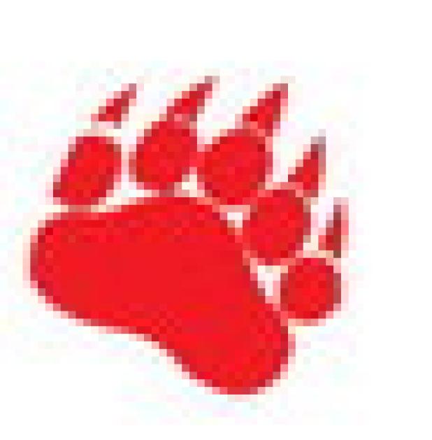Cub Football Season Opens with Skills Camp