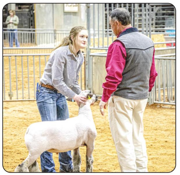 Young County Jr. Livestock Highlights 2020