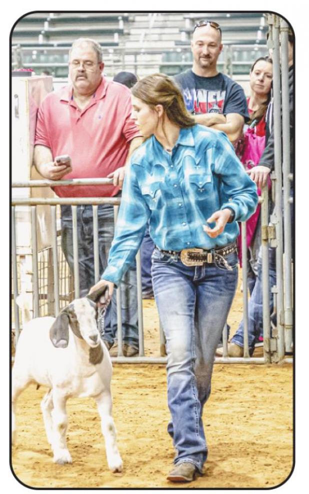 Young County Jr. Livestock Highlights 2020