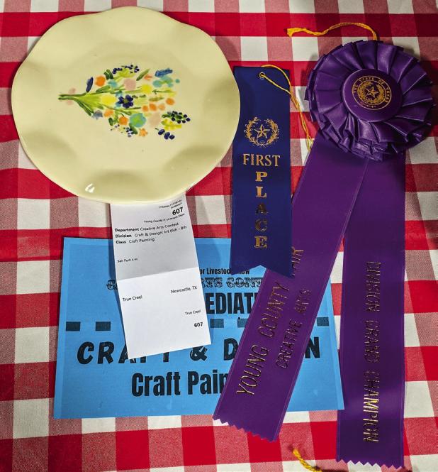 True Creel, Newcastle Salt Fork 4-H, Grand Champion Creative Arts Craft Painting Photo by Will Sadler