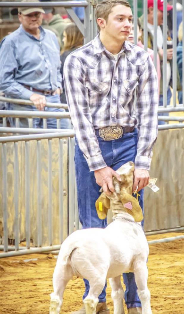 Tucker Hudson of the Olney FFA placed 3rd in the Light Weight, Class 1, Goat Division