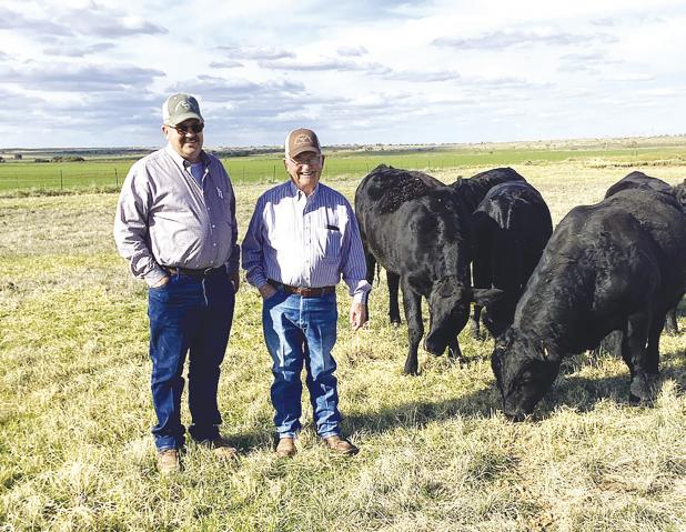 Jim Myers plants 63rd wheat crop