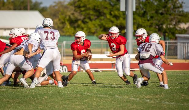 Red vs. White, Panther scrimmages ready Cubs for the season