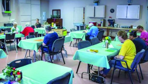 Senior Cub Center looks to Texoma Gives for new program funding