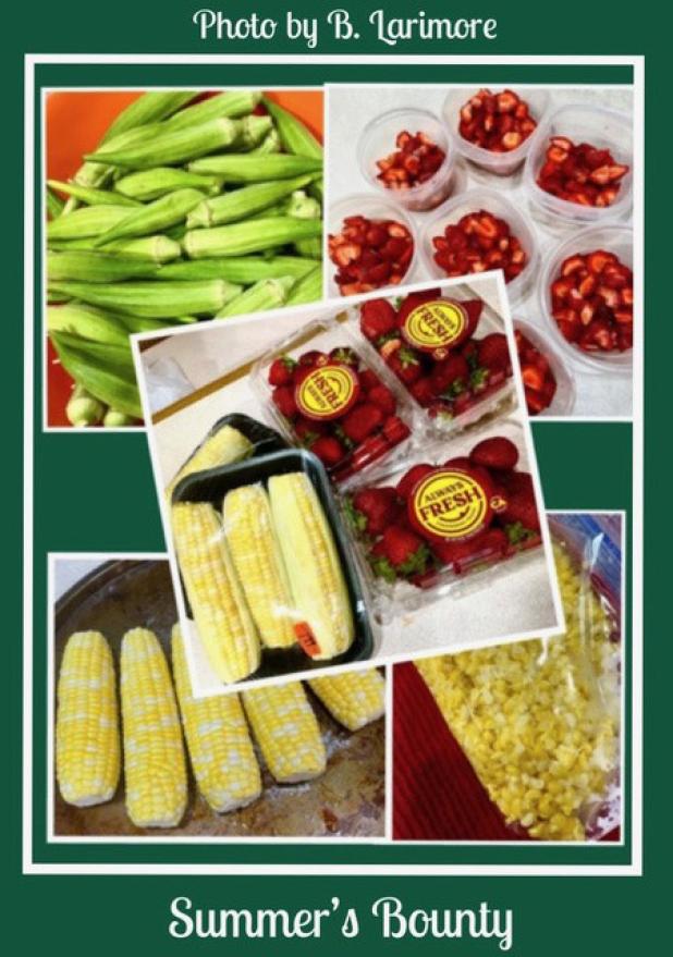Summer’s Bounty