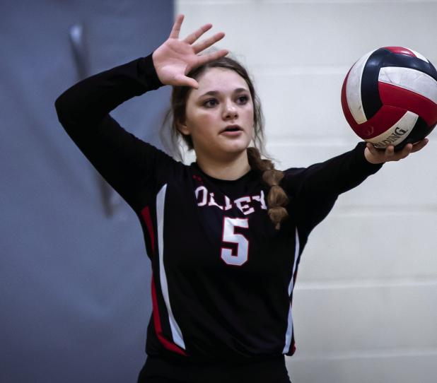 Volleyball District Honors