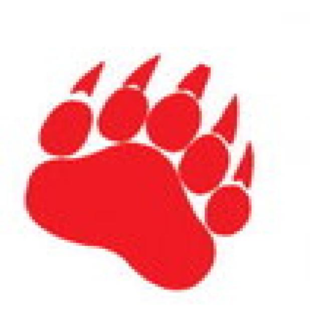 OHS Cubs Win District Honors in Basketball