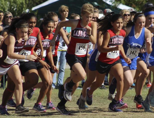 The Olney High School Cross Country Team gets off to a solid start during the regional meet in Grand Prairie.