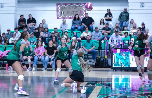 NHS Ladycat #5 Allison Melton with a dig against the Lady Longhorns.
