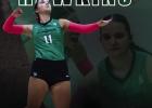 LadyCats Players Named to All-District Teams
