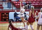 Lady Cubs Basketball District Honors