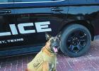 Olney PD K9 Officer Bond receives donated body armor