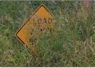 Concerned Precinct 3 citizens sent photos of high grass along County roads, worried about fire and accident dangers. (Above) High weeds along True Road. (Below): A sign on C. Stowe Road obscured by weeds. Photos sent in by Precinct 3 residents