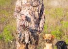 Livingston Gundogs